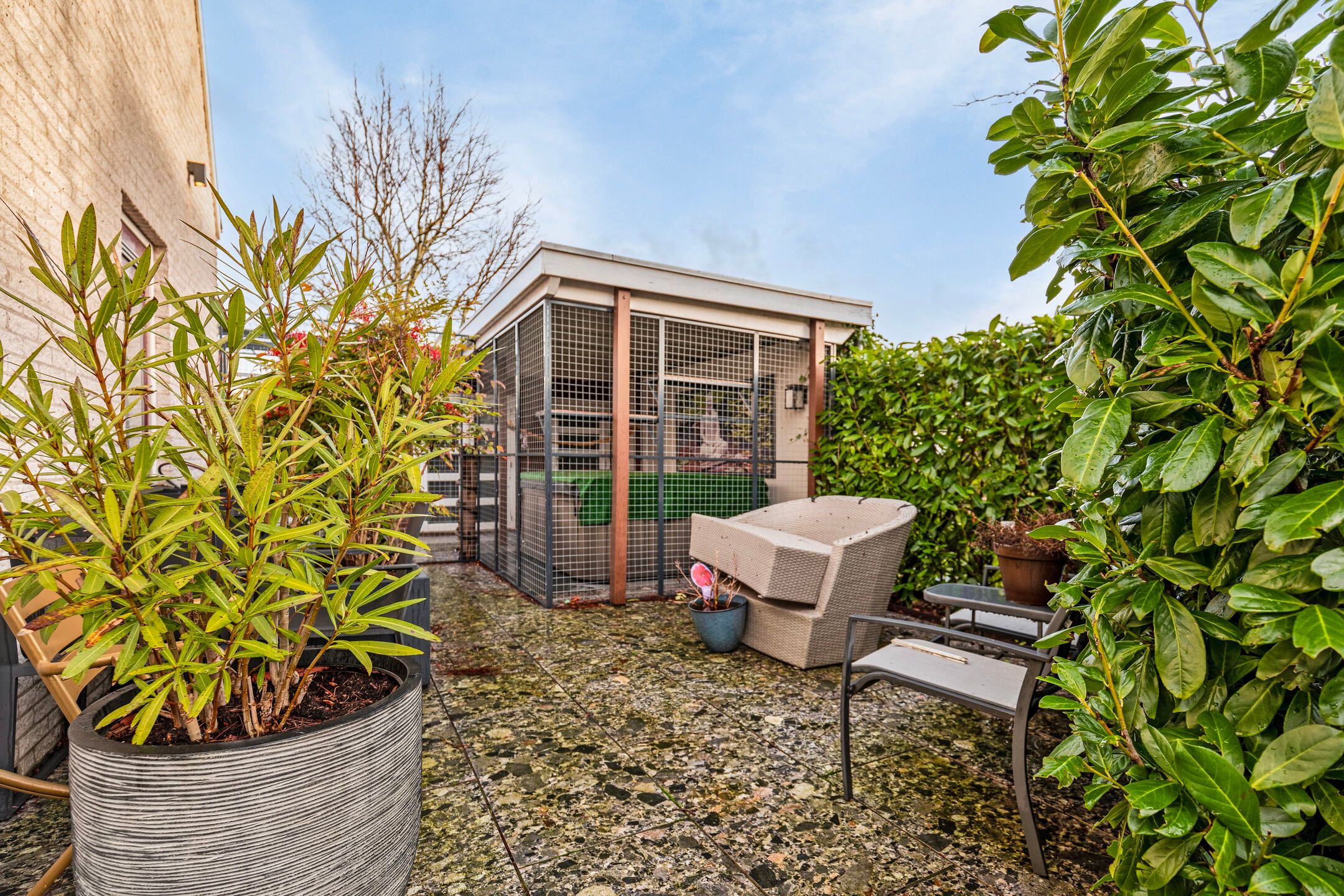 Foto 60 van Bladmoshof 25