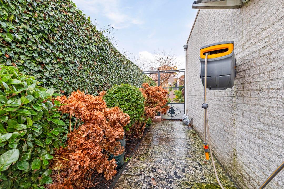 Foto 61 van Bladmoshof 25