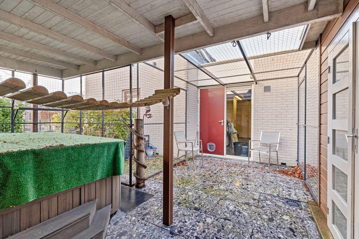 Foto 64 van Bladmoshof 25