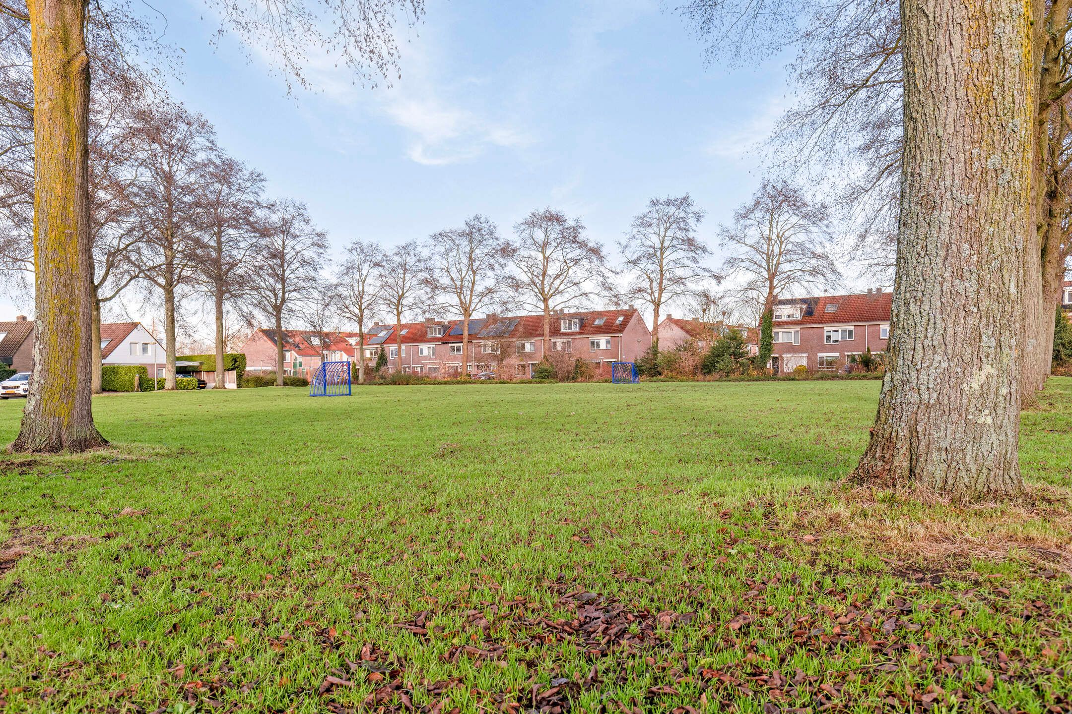 Foto 69 van Bladmoshof 25