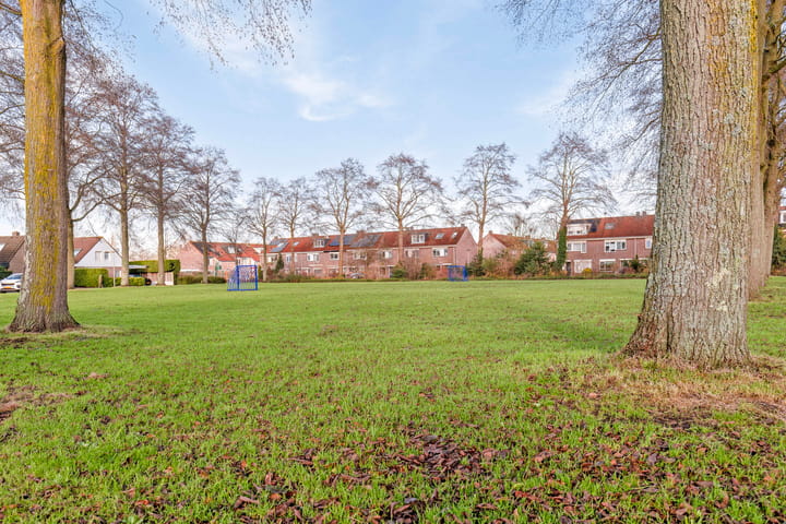 Foto 69 van Bladmoshof 25