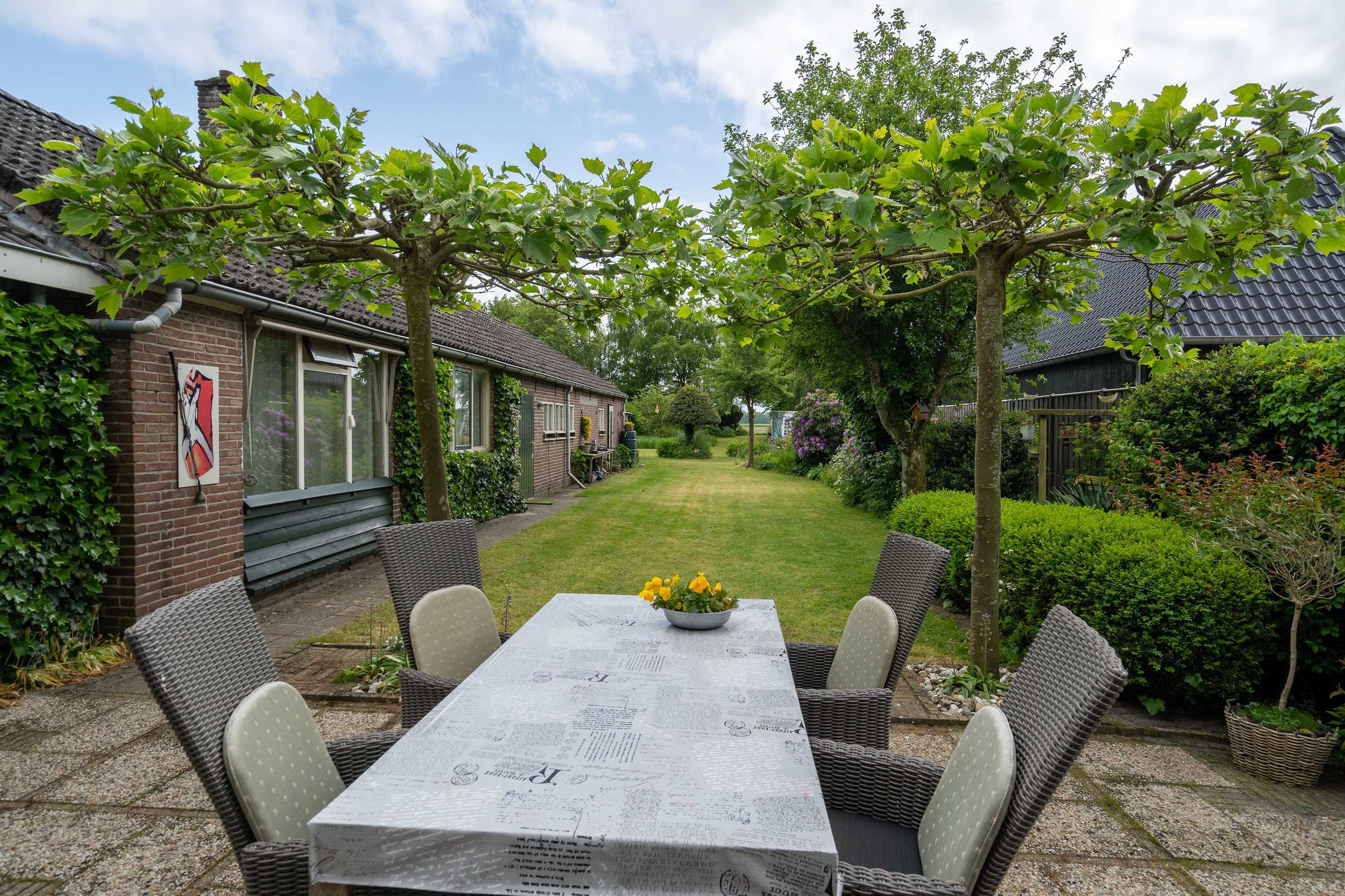 Foto 36 van Mepperstraat 6