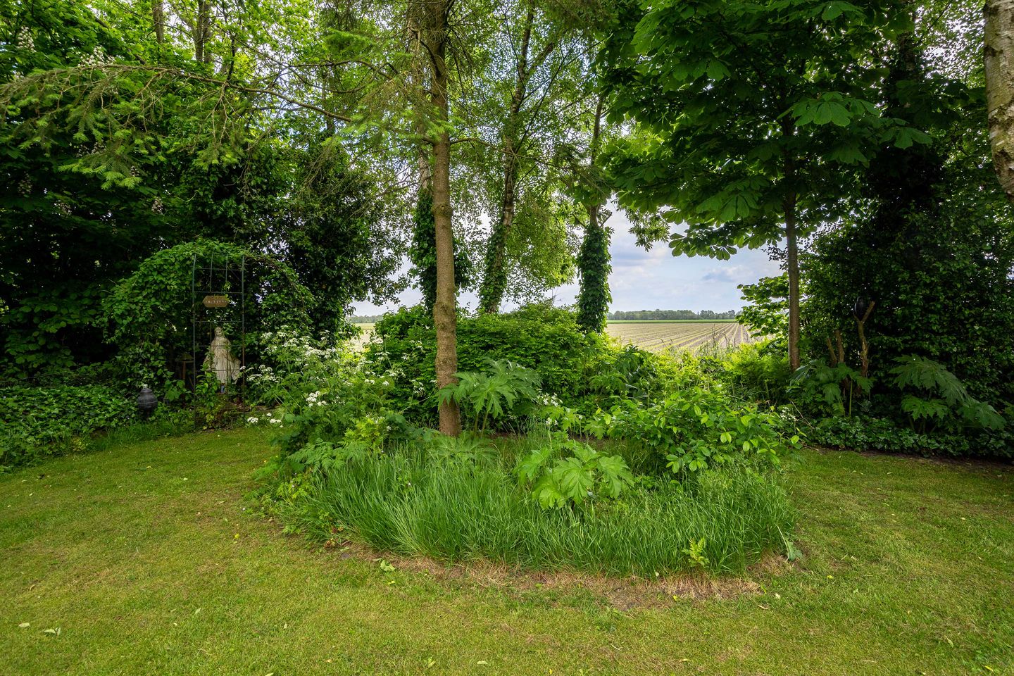 Foto 44 van Mepperstraat 6