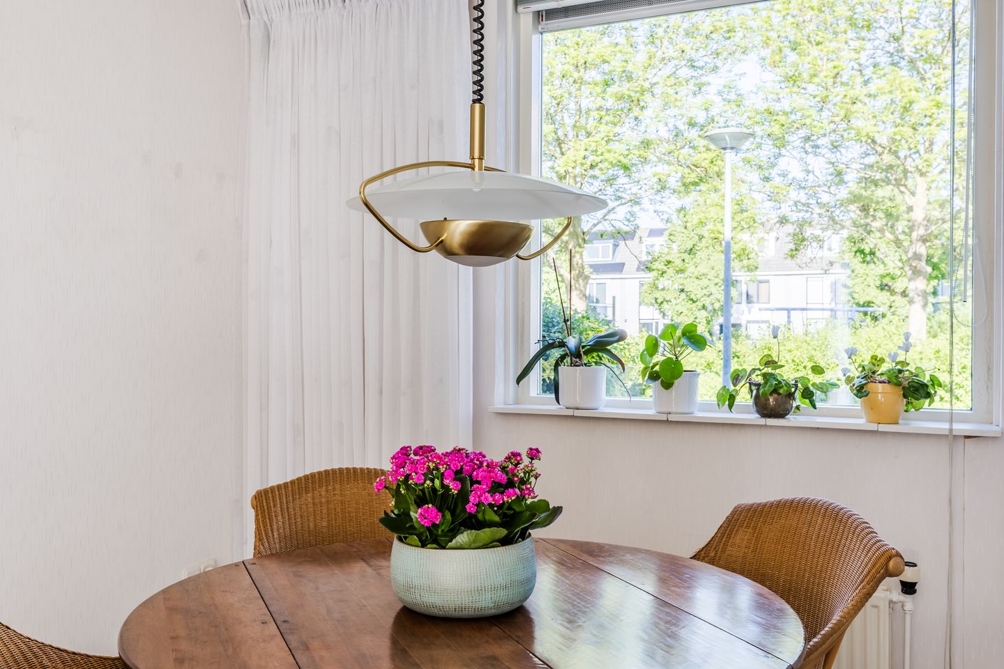 Photo 14 of Wikke 19