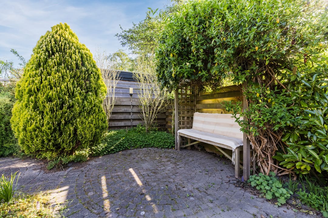 Photo 41 of Wikke 19