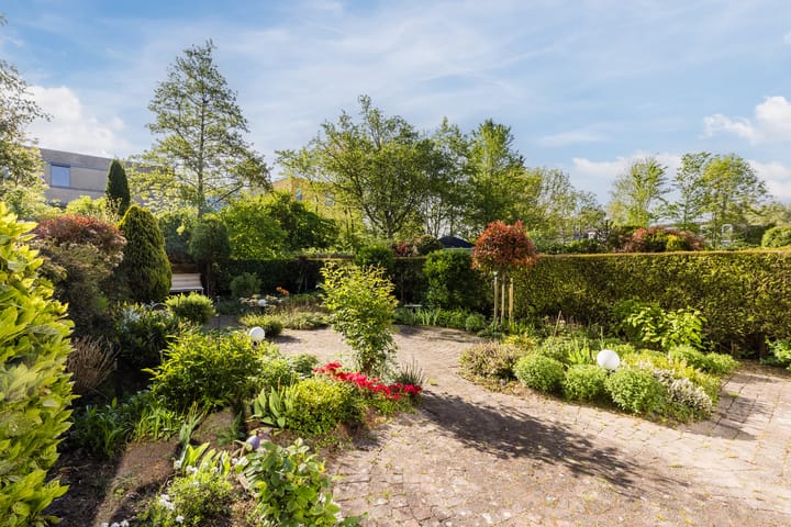 Foto 39 van Wikke 19