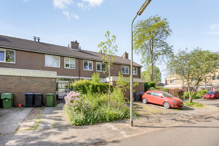 Foto 3 van Poelruit 107