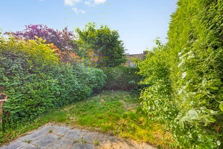 Foto 43 van Poelruit 107