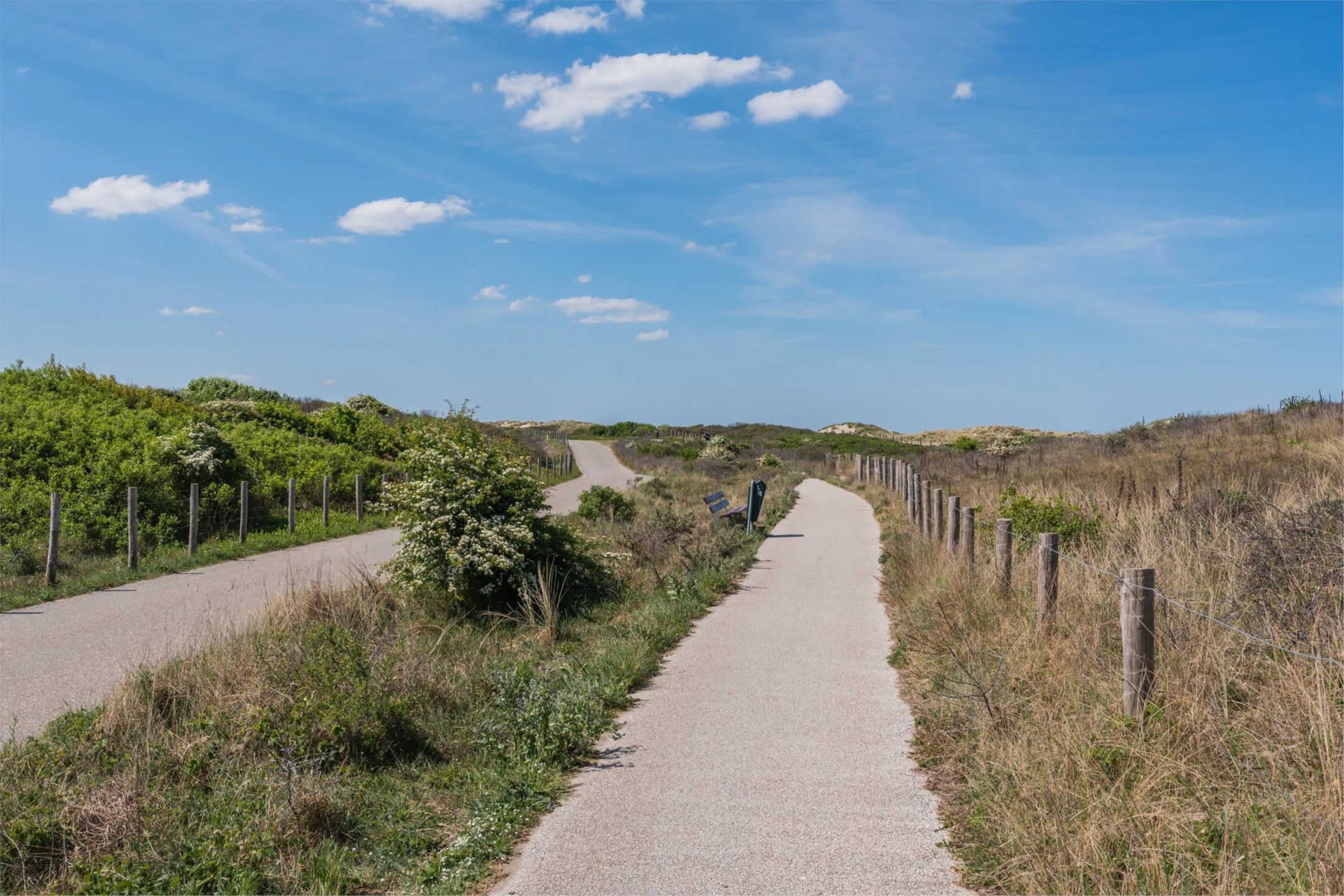 Foto 33 van Houtrustweg 476-C