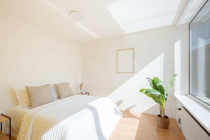 Foto 24 van Jan Janzenstraat 10