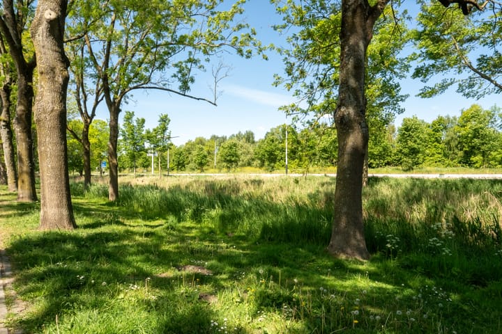 Foto 41 van Jan Janzenstraat 10