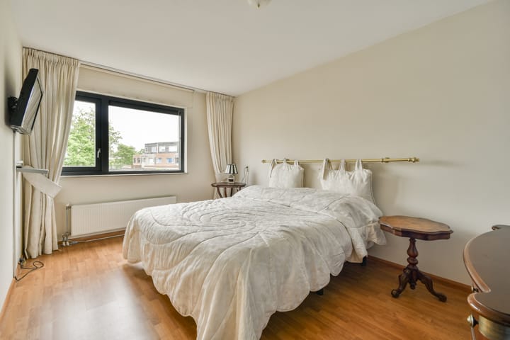 Foto 12 van Rode Ring 226