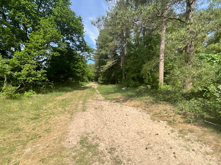 Foto 29 van Eendenparkweg 51-A8