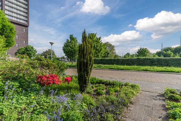 Foto 38 van Vanvitelliweg 33