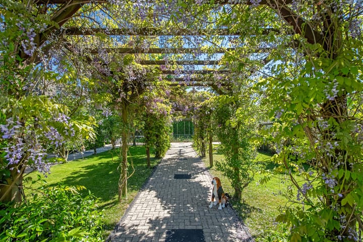 Foto 25 van Hogeveenseweg 1