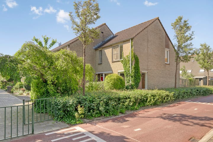 Foto 1 van Ruigewerve 2