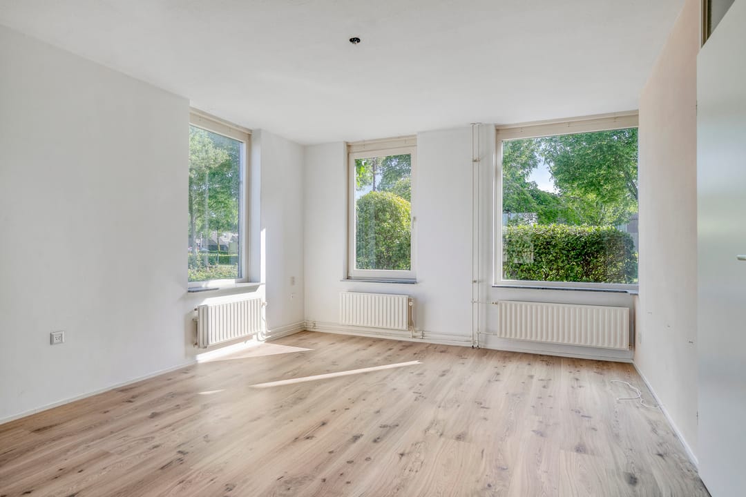 Foto 7 van Ruigewerve 2