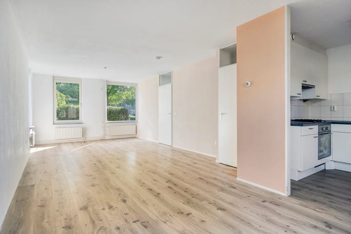 Foto 10 van Ruigewerve 2