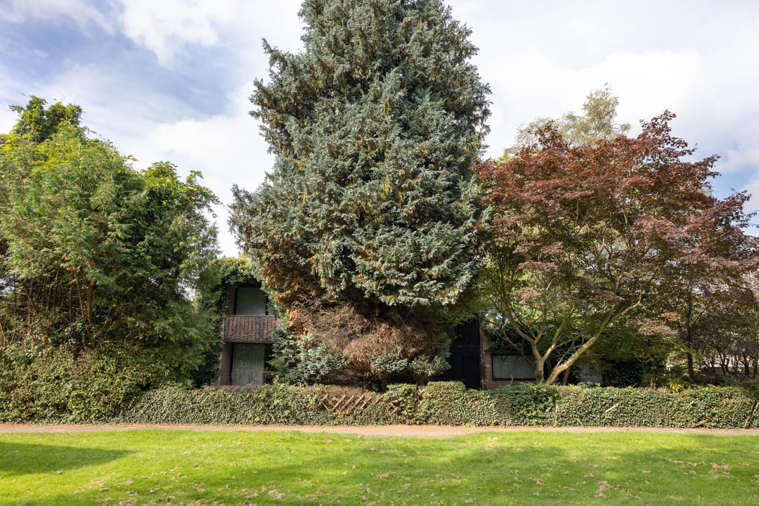 Foto 22 van Het Bijvank 255