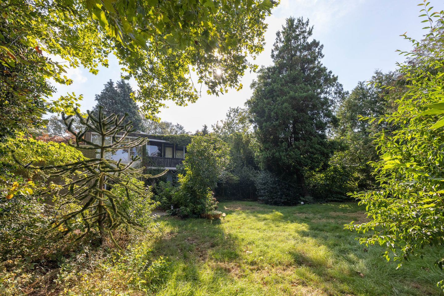 Foto 25 van Het Bijvank 255