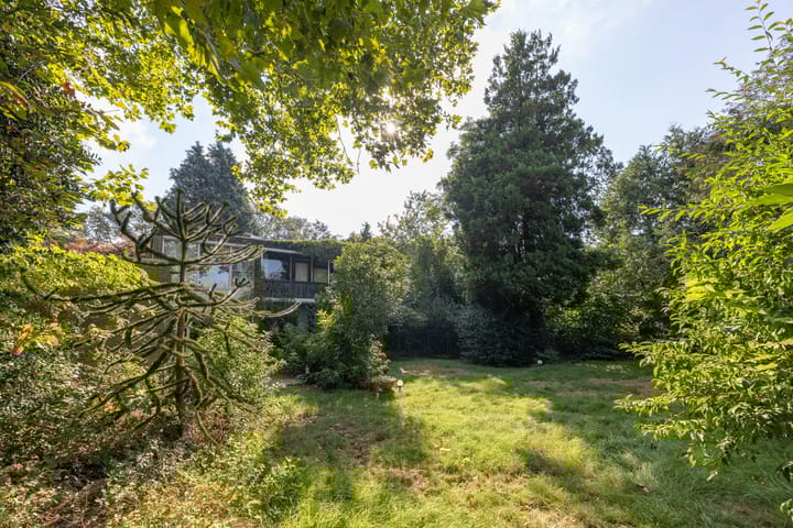 Photo 25 of Het Bijvank 255