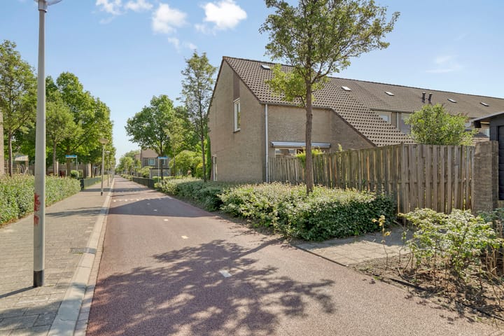 Foto 36 van Ruigewerve 2