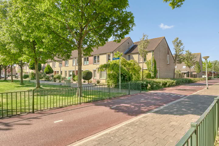 Foto 37 van Ruigewerve 2