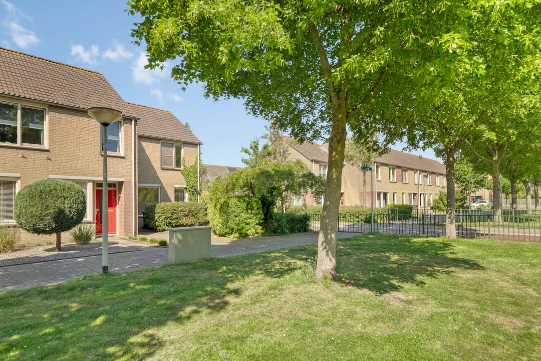 Foto 38 van Ruigewerve 2