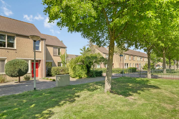 Foto 38 van Ruigewerve 2