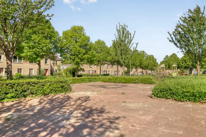 Foto 41 van Ruigewerve 2