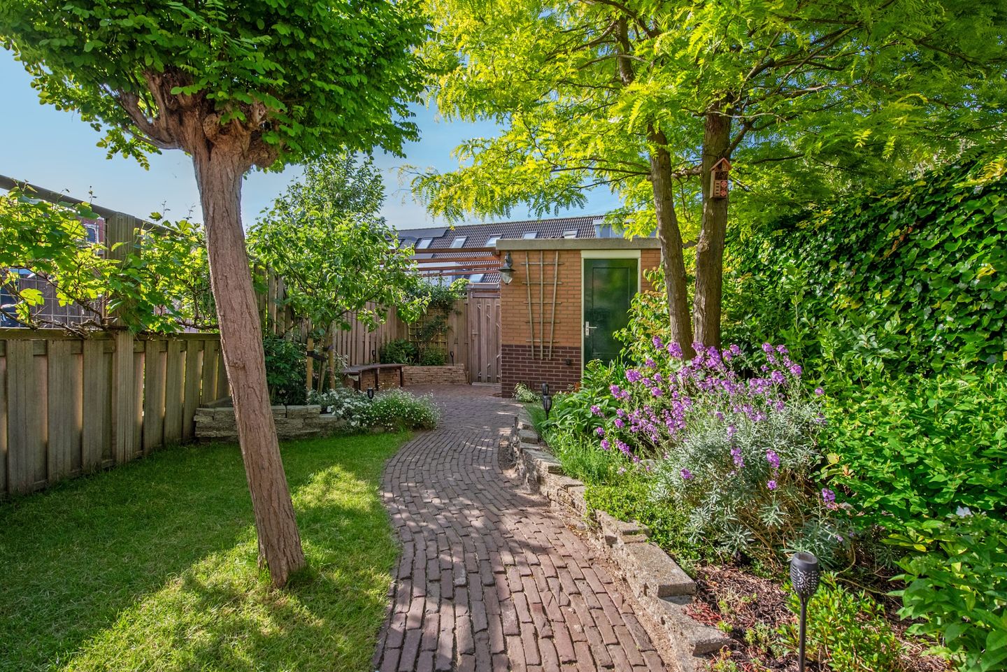 Foto 20 van Amaril 11