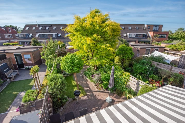 Foto 29 van Amaril 11