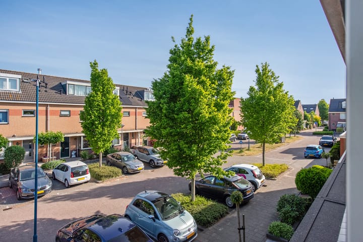 Foto 31 van Amaril 11