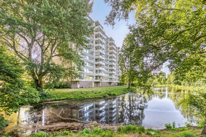 Foto 31 van Veenbesstraat 40