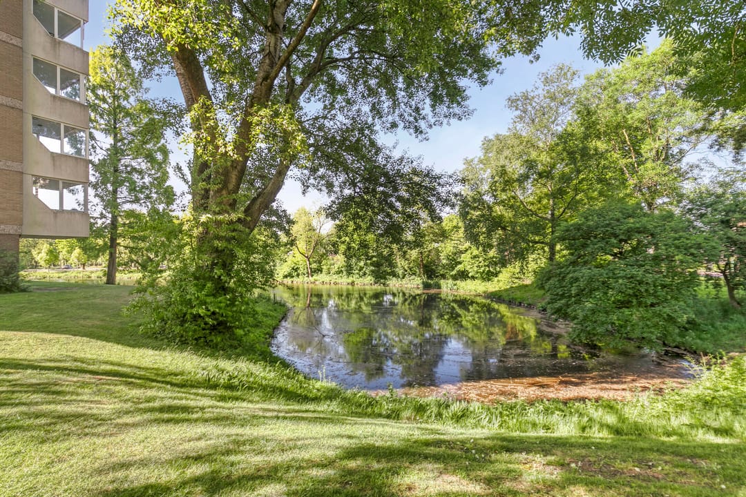 Foto 32 van Veenbesstraat 40