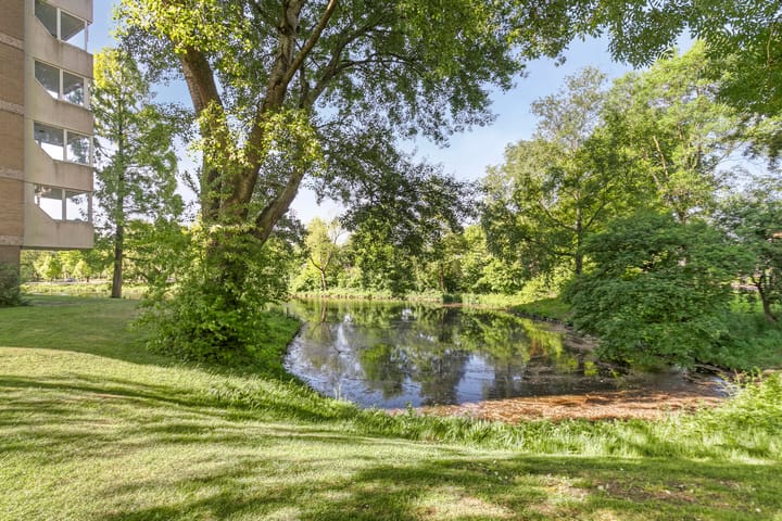 Foto 32 van Veenbesstraat 40