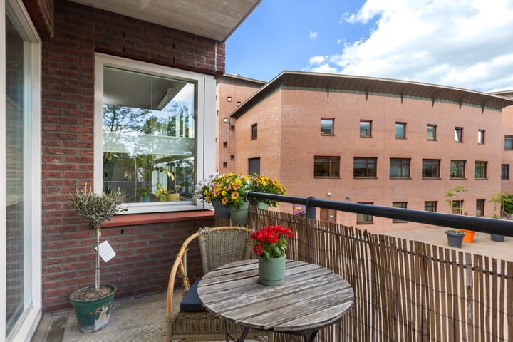 Photo 13 of Soeverein 38