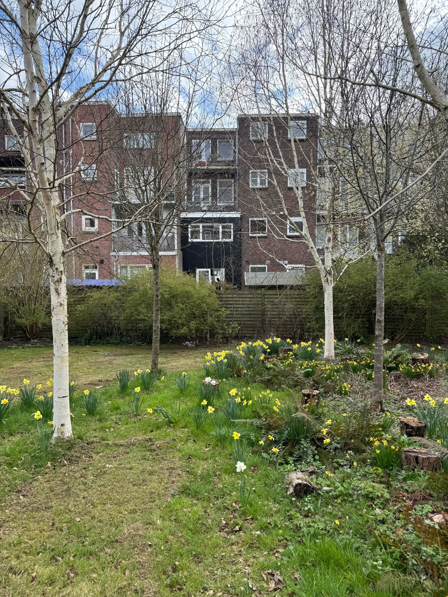 Foto 6 van Pleinweg 189-A