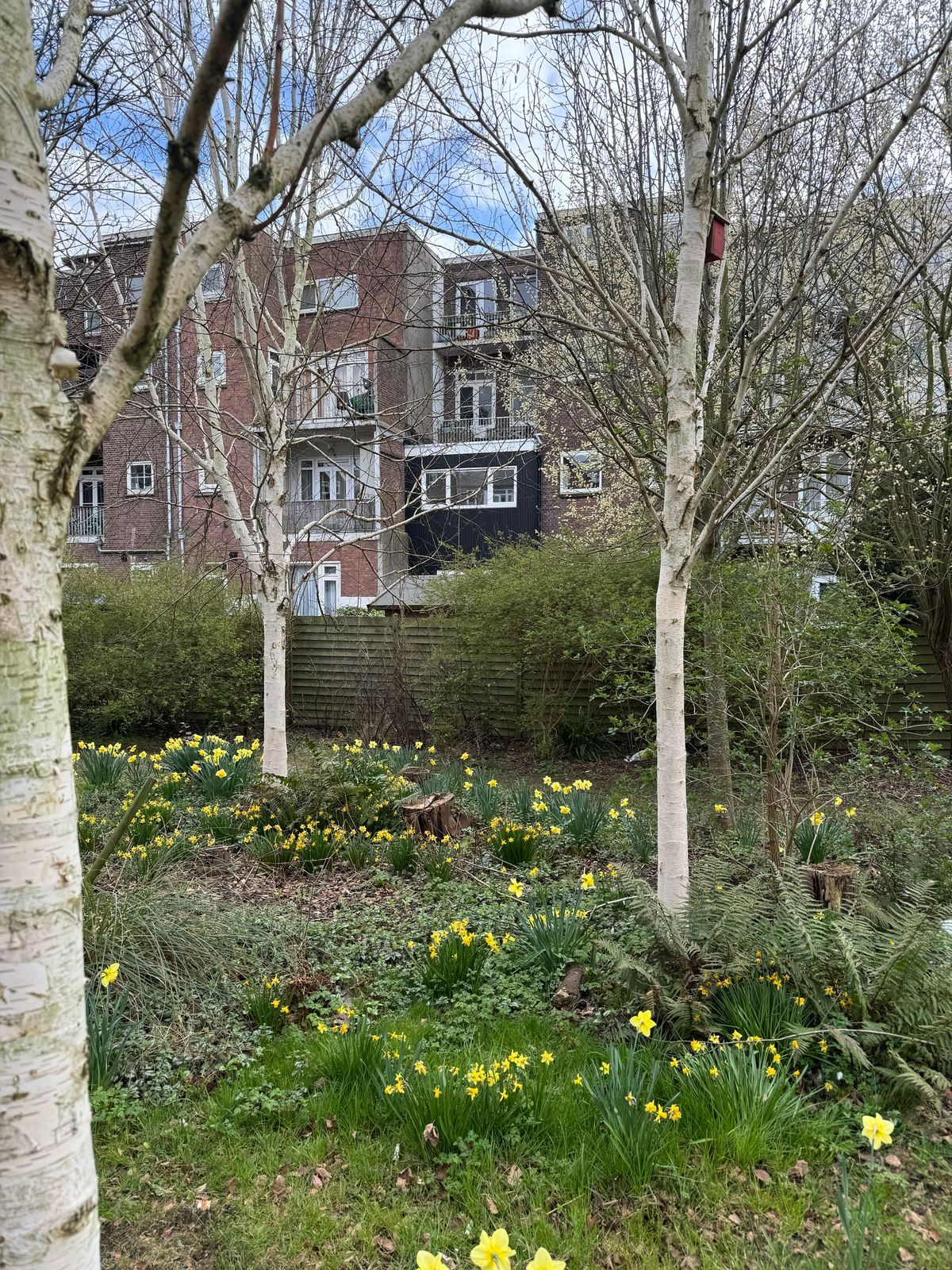 Foto 24 van Pleinweg 189-A