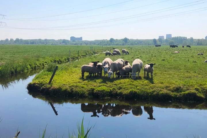 Foto 28 van Dijkmanshuizenstraat 100