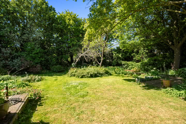 Foto 49 van Nieuwe Streek 58