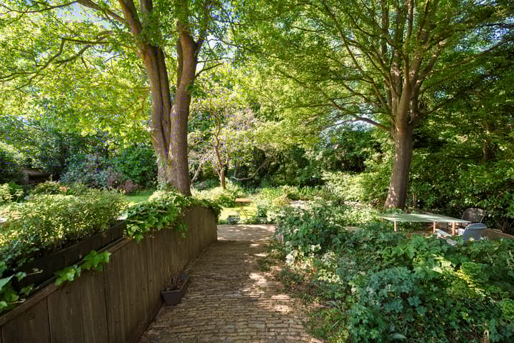 Foto 56 van Nieuwe Streek 58