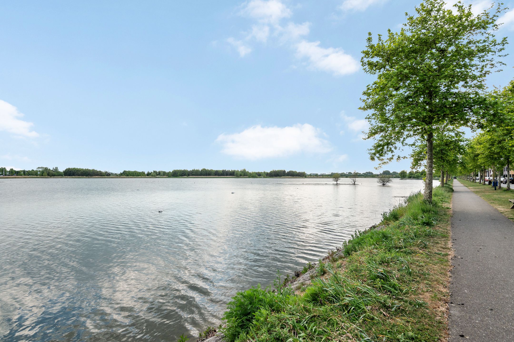 Foto 36 van Zuiderlicht 131