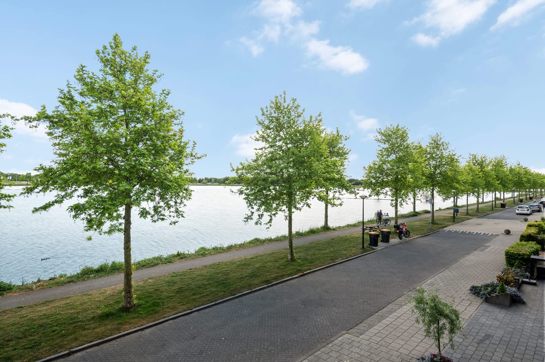 Foto 37 van Zuiderlicht 131