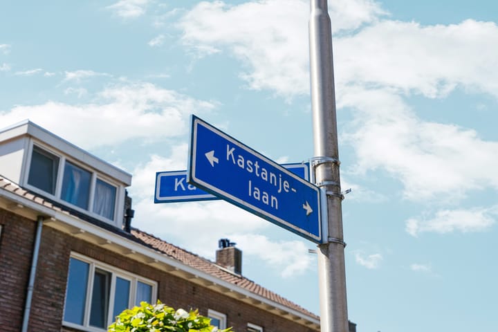 Foto 11 van Kastanjelaan 44