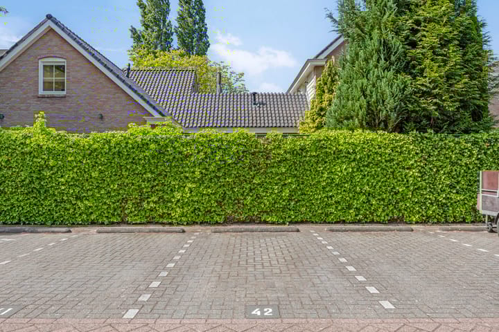 Foto 20 van Hoge Ham 46-D