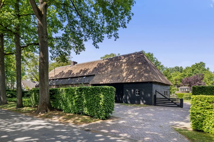 Foto 4 van Montfortlaan 2