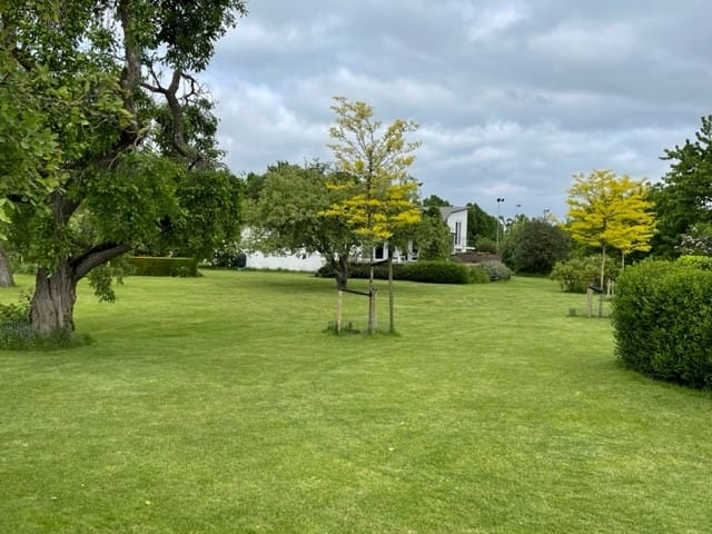 Photo 13 of Grote Molenstraat 28