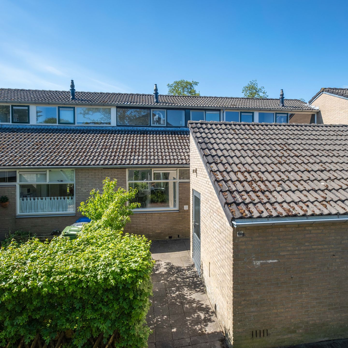 Foto 1 van Wilgenroosje 24