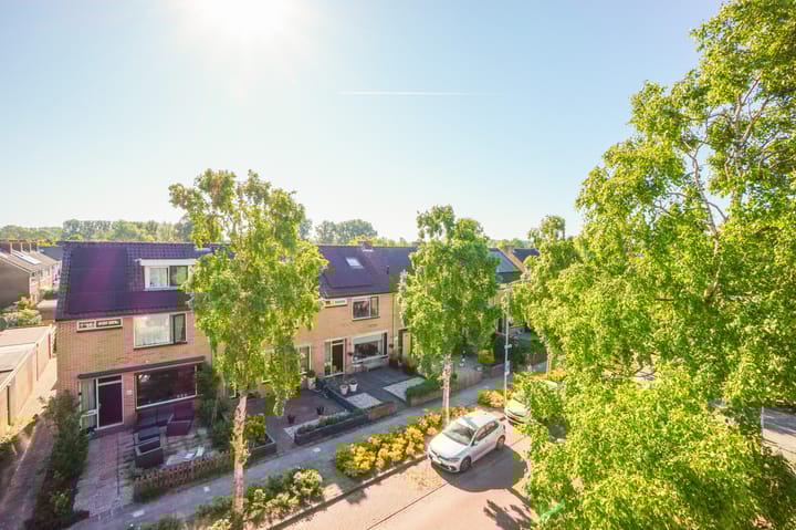 Foto 49 van Meeuwenlaan 64